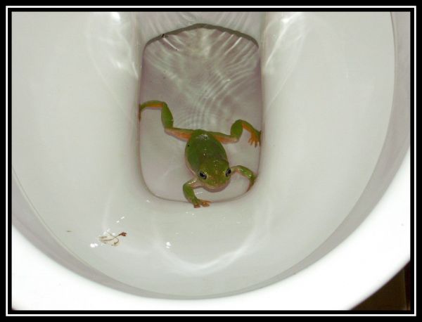 Hei klicken fir d'Bild an voller Gréisst ze gesinn