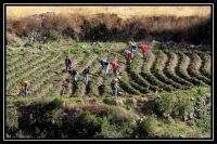 Chili_Perou_Bolivie_240.jpg