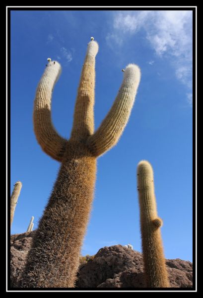 Hei klicken fir d'Bild an voller Gréisst ze gesinn