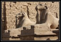 Egypte_2008_01_Louxor_020.jpg