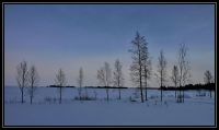 Finlande_2013_032.jpg