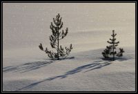 Finlande_2013_073.jpg