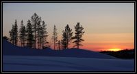 Finlande_2013_080.jpg