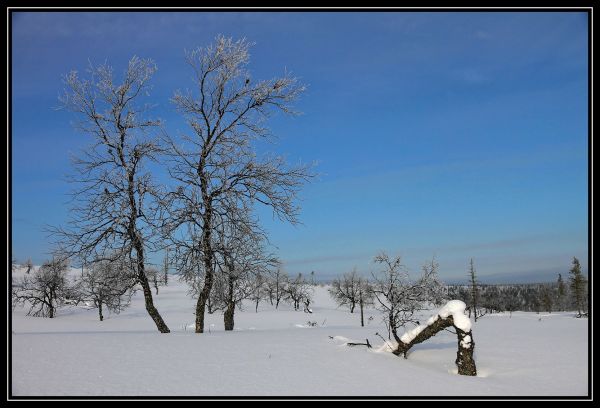 Hei klicken fir d'Bild an voller Gréisst ze gesinn