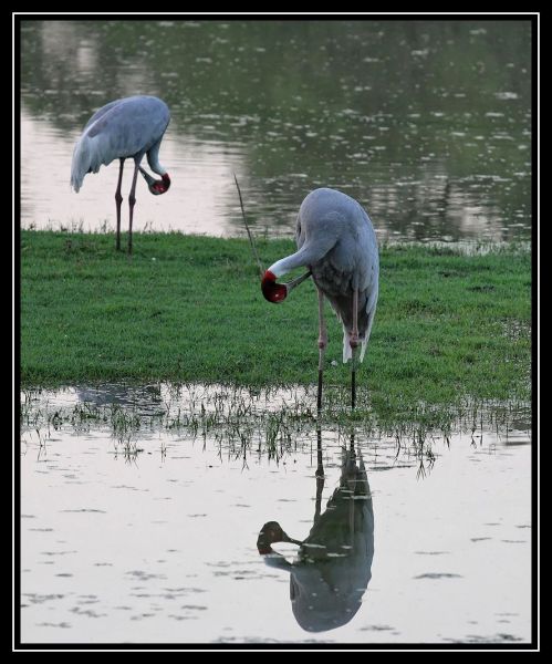 Hei klicken fir d'Bild an voller Gréisst ze gesinn