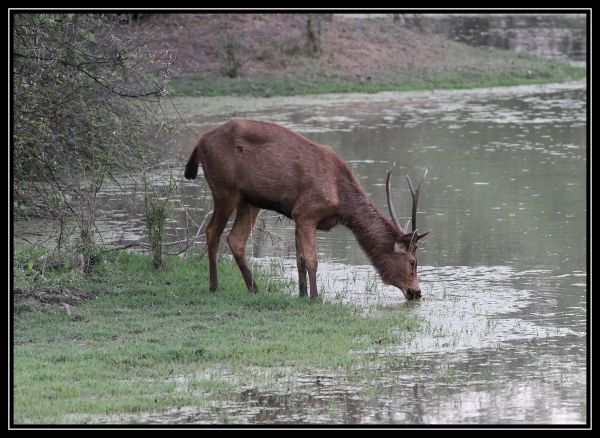 Hei klicken fir d'Bild an voller Gréisst ze gesinn