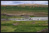 Islande_192_resize.jpg