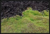 Islande_235_resize.jpg