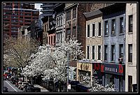 NEW_YORK_2015_090.jpg