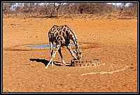 2015_NAMIBIE_001_redimensionner.jpg