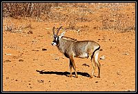 2015_NAMIBIE_009_redimensionner.jpg