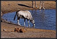 2015_NAMIBIE_053_redimensionner.jpg