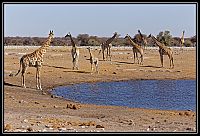 2015_NAMIBIE_057_redimensionner.jpg