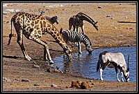 2015_NAMIBIE_063_redimensionner.jpg