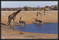 2015_NAMIBIE_066_redimensionner.jpg