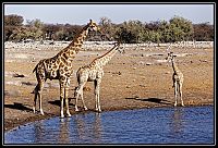 2015_NAMIBIE_068_redimensionner.jpg