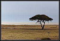 2015_NAMIBIE_115_redimensionner.jpg