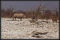 2015_NAMIBIE_251_redimensionner.jpg