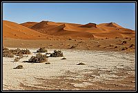 2015_NAMIBIE_476_redimensionner.jpg