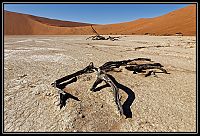 2015_NAMIBIE_522_redimensionner.jpg