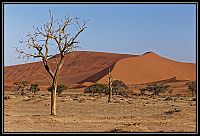 Dateinumm=2015_NAMIBIE_538_redimensionner.jpg
Gréisst vun der Datei=359KB
Dimensiounen=1566x1066
Datum vum Upload=Januar 03, 2016 2015_NAMIBIE_538_redimensionner.jpg