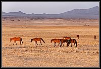 Dateinumm=2015_NAMIBIE_633_redimensionner.jpg
Gréisst vun der Datei=400KB
Dimensiounen=1566x1066
Datum vum Upload=Januar 03, 2016 2015_NAMIBIE_633_redimensionner.jpg