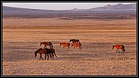 Dateinumm=2015_NAMIBIE_635_redimensionner.jpg
Gréisst vun der Datei=597KB
Dimensiounen=1866x1045
Datum vum Upload=Januar 03, 2016 2015_NAMIBIE_635_redimensionner.jpg