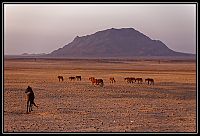 2015_NAMIBIE_636_redimensionner.jpg