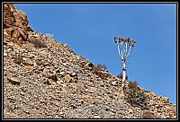 Dateinumm=2015_NAMIBIE_646_redimensionner.jpg
Gréisst vun der Datei=557KB
Dimensiounen=1566x1066
Datum vum Upload=Januar 03, 2016 2015_NAMIBIE_646_redimensionner.jpg