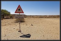 2015_NAMIBIE_664_redimensionner.jpg