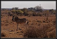 2015_NAMIBIE_735_redimensionner.jpg