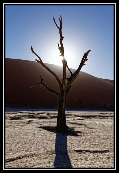 Hei klicken fir d'Bild an voller Gréisst ze gesinn