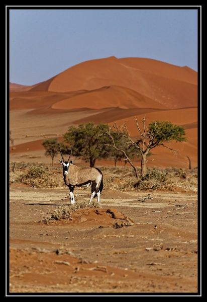 Hei klicken fir d'Bild an voller Gréisst ze gesinn