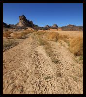 Pano_Algerie2009_003.jpg