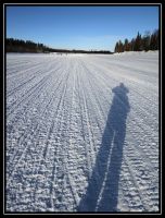 Panos_FINLANDE_2013_009.jpg