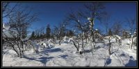 Panos_FINLANDE_2013_014.jpg