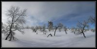 Panos_FINLANDE_2013_017.jpg