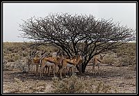 2015_NAMIBIE_panos_025_redimensionner.jpg