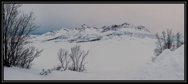 Hei klicken fir d'Bild an voller Gréisst ze gesinn