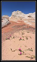 Dateinumm=Pano_White_Pocket_-_IMG_7080_DxO_-_3_picts_v1_-_6052x3556_-_102_68x60_33_-_V1_4_2_redimensionner.jpg
Gréisst vun der Datei=208KB
Dimensiounen=712x1166
Datum vum Upload=September 14, 2009 Pano_White_Pocket_-_IMG_7080_DxO_-_3_picts_v1_-_6052x3556_-_102_68x60_33_-_V1_4_2_redimensionner.jpg