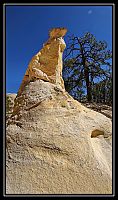 Dateinumm=Pano_USA_West_-_Sept_-_Oct_2014_-_32_Ojito_-_IMG_8364_DxO_-_4_picts_v3_-_8870x5043_-_130_71x69_4528-3_4229_-_Autopano_Giga_3_7_0_resize.jpg
Gréisst vun der Datei=228KB
Dimensiounen=634x1066
Datum vum Upload=Mäerz 31, 2015 Pano_USA_West_-_Sept_-_Oct_2014_-_32_Ojito_-_IMG_8364_DxO_-_4_picts_v3_-_8870x5043_-_130_71x69_4528-3_4229_-_Autopano_Giga_3_7_0_resize.jpg