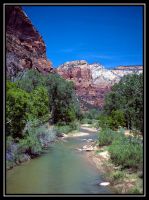 1002-Zion-HL-EPool-07.jpg