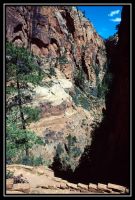 1002-Zion-HL-EPool-28.jpg