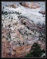 Dateinumm=1002-Zion-HL-EPool-37.jpg
Gréisst vun der Datei=440KB
Dimensiounen=889x1092
Datum vum Upload=September 17, 2006 1002-Zion-HL-EPool-37.jpg