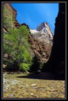 1003-Zion-HC-CedarB-Bryce-19.jpg