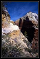 1003-Zion-HC-CedarB-Bryce-27.jpg