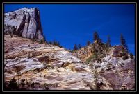 1003-Zion-HC-CedarB-Bryce-28.jpg