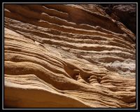 1003-Zion-HC-CedarB-Bryce-29.jpg