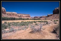 1009-Chelly-Needles-27.jpg