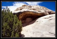 1010-CanyonL-Needles-O-DelicateA-31.jpg